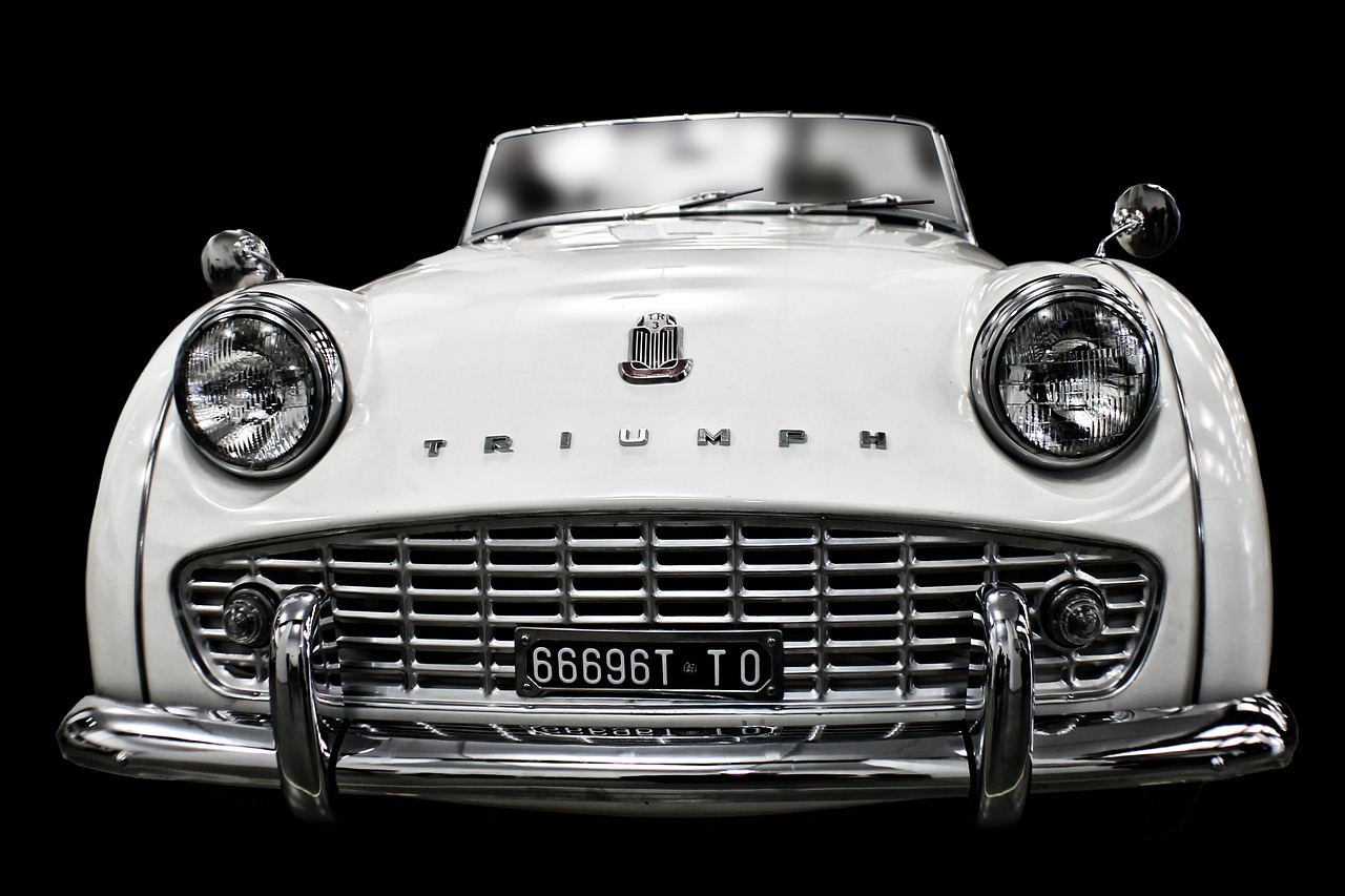 auto auction, filo araç alımı, araç ekspertiz