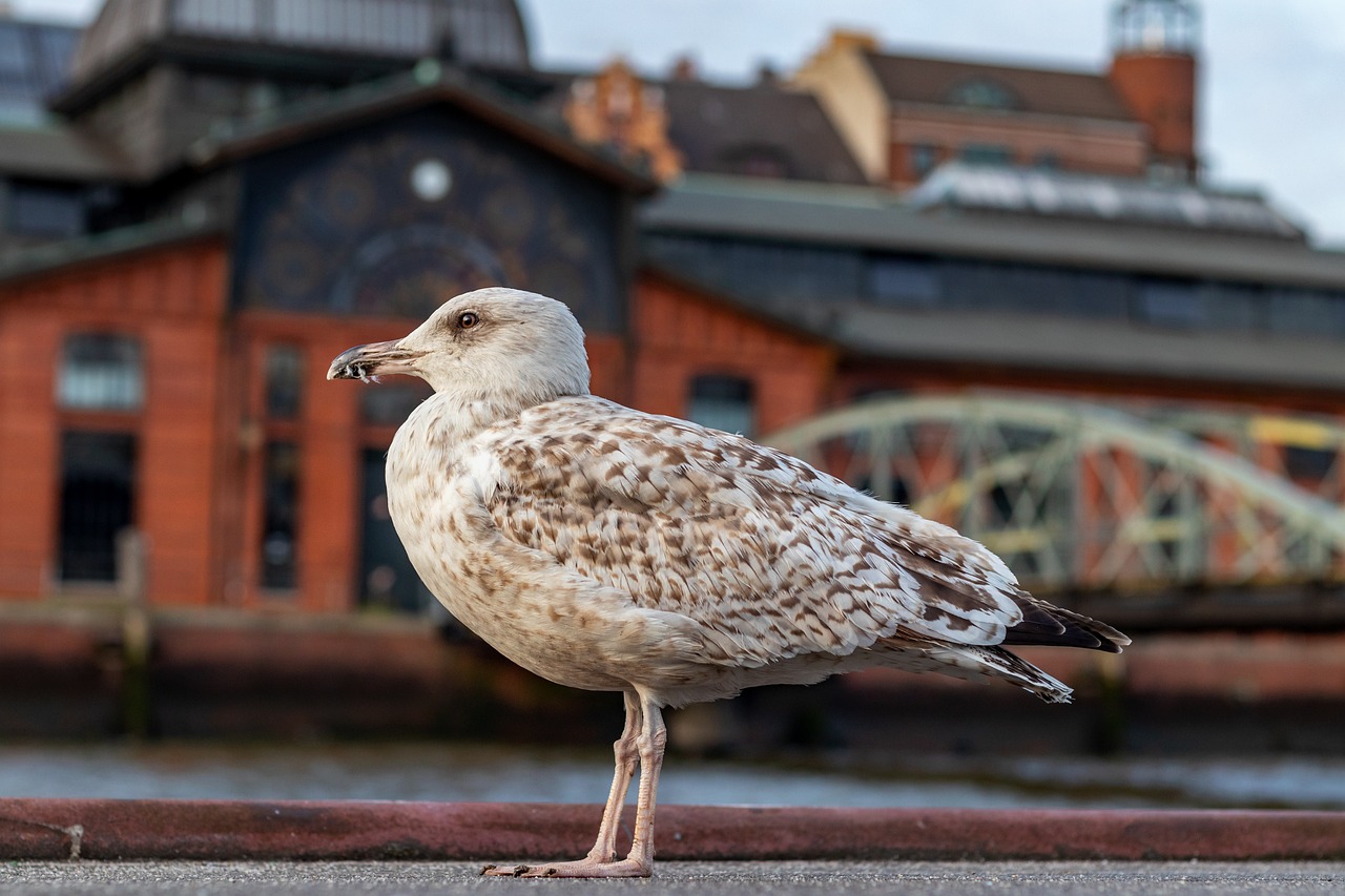 Filo şirketleri için topyekûn araç satın alma