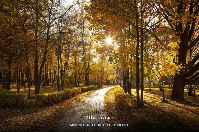 2026 Brilliance Brilliance Junjie FRV