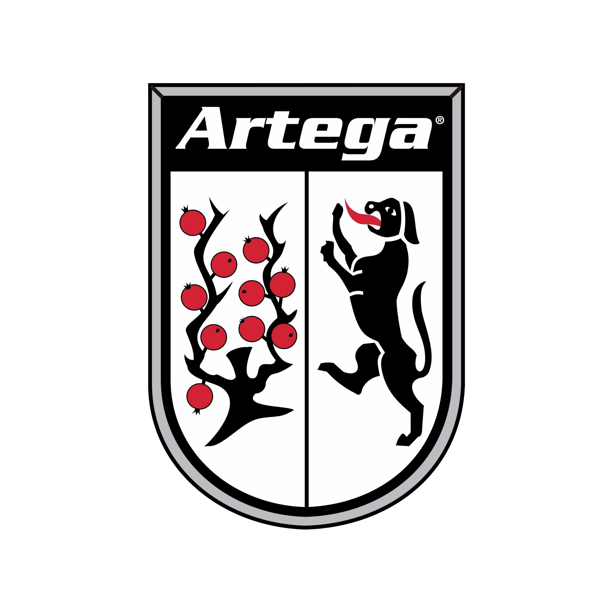 Artega Rehberi